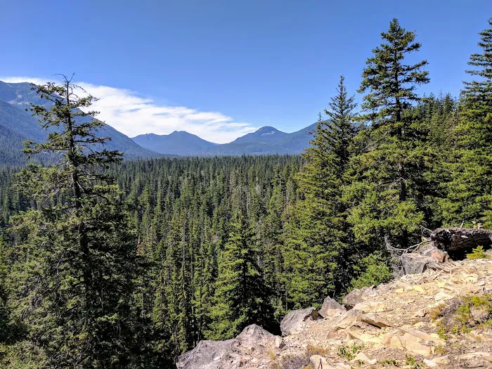 Boat Landing Campground Picture 1