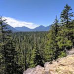 Boat Landing Campground