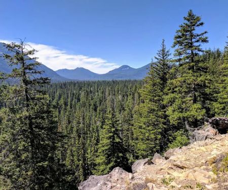 Boat Landing Campground