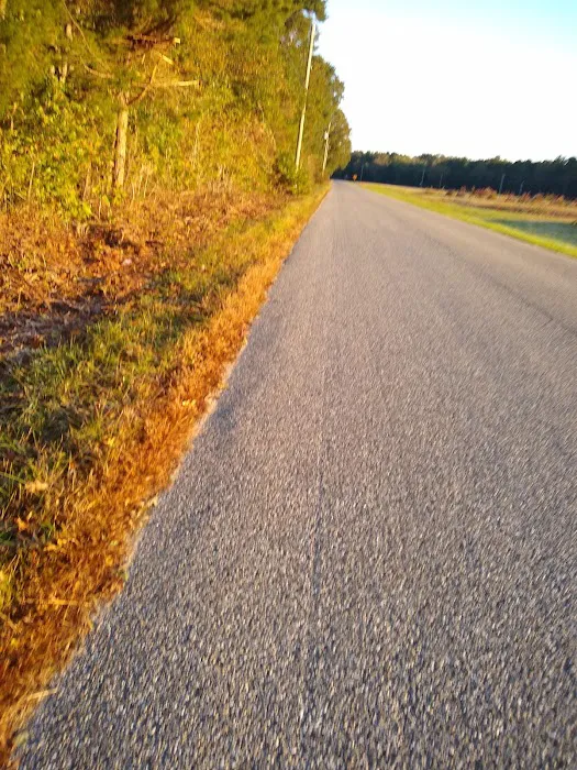 Alpine Village Inc Picture 2