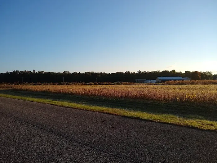 Alpine Village Inc Picture 1