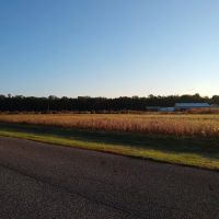 Alpine Village Inc ico