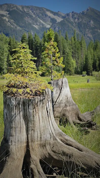 Bumping Lake Campground Picture 1