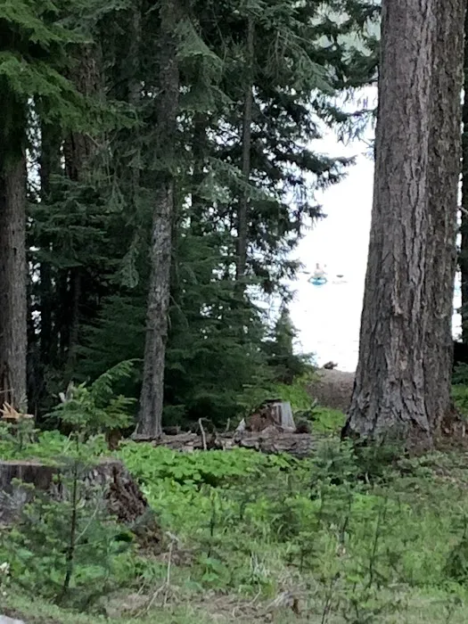 Bumping Lake Campground Picture 7