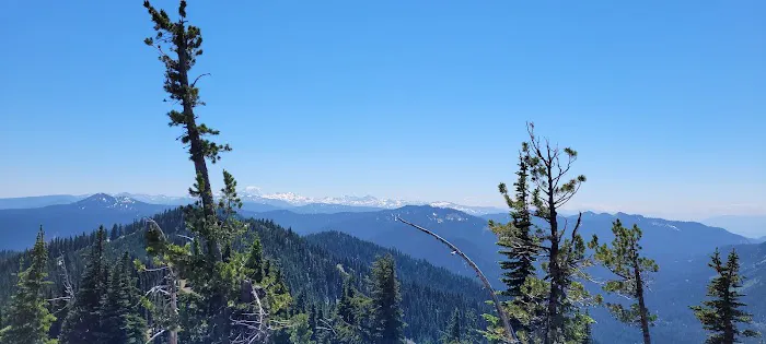 Granite Lake Dispersed Camping Area Picture 4