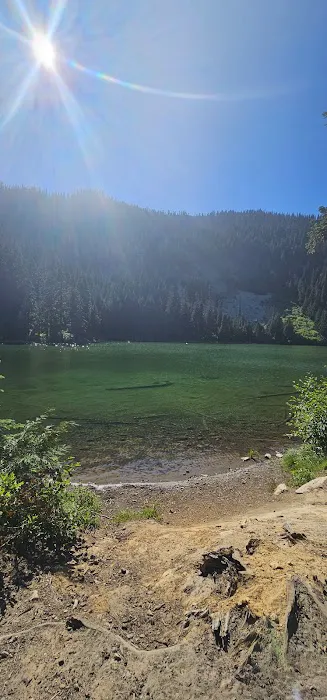 Granite Lake Dispersed Camping Area Picture 5