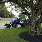 Phoenix Mobile Homes Inc