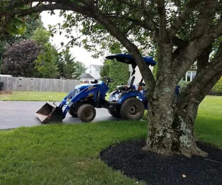 Phoenix Mobile Homes Inc