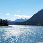 Pine Needle Group Site