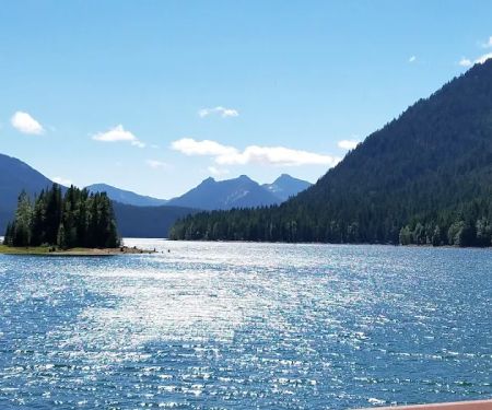 Pine Needle Group Site