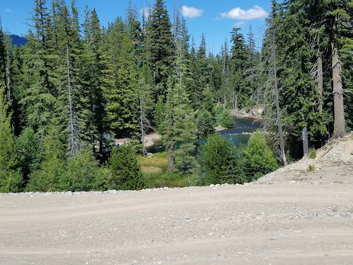 Pine Needle Group Site Picture 2