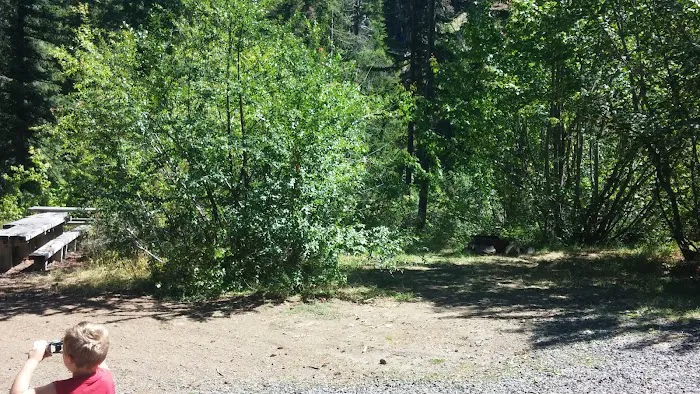 Pine Needle Group Site Picture 3