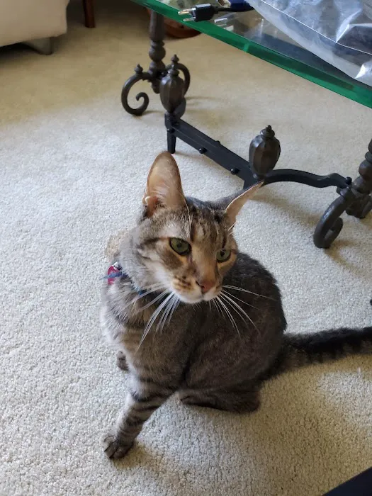 Winterset Farms Picture 9