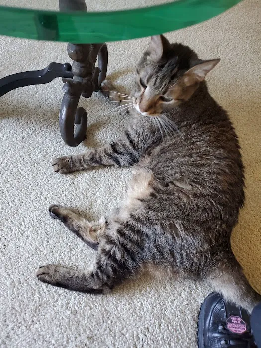 Winterset Farms Picture 10