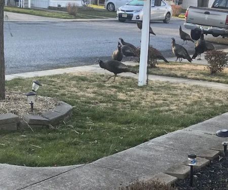 White Oak Mobile Home Park