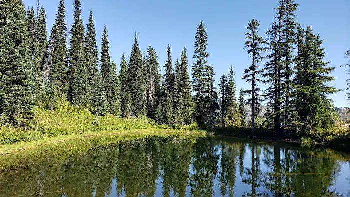 Big Creek Campground Picture 3