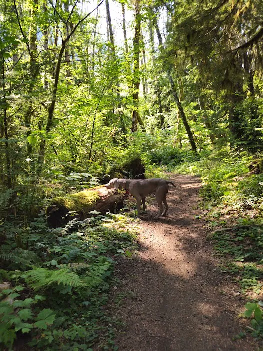 Big Creek Campground Picture 4