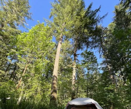 Big Creek Campground