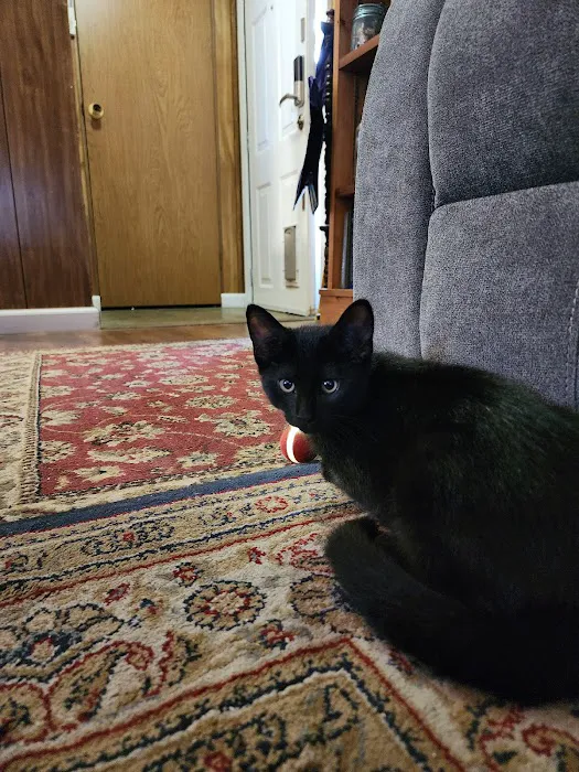 Park Place Mobile Home Community LLC Picture 4