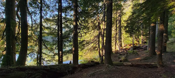 High Rock Campground Picture 7
