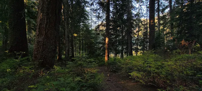 High Rock Campground Picture 2