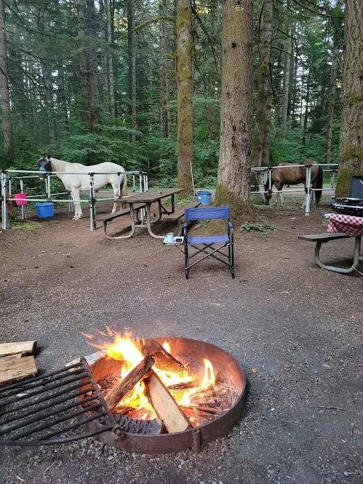 Sahara Creek DNR Horse Camp Picture 2