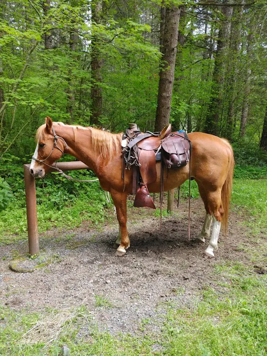 Sahara Creek DNR Horse Camp Picture 1