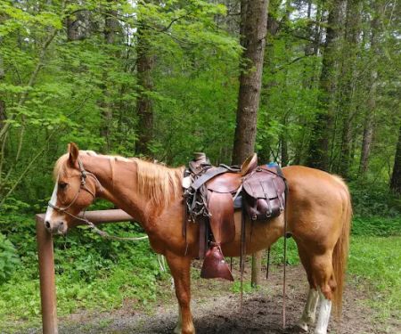 Sahara Creek DNR Horse Camp