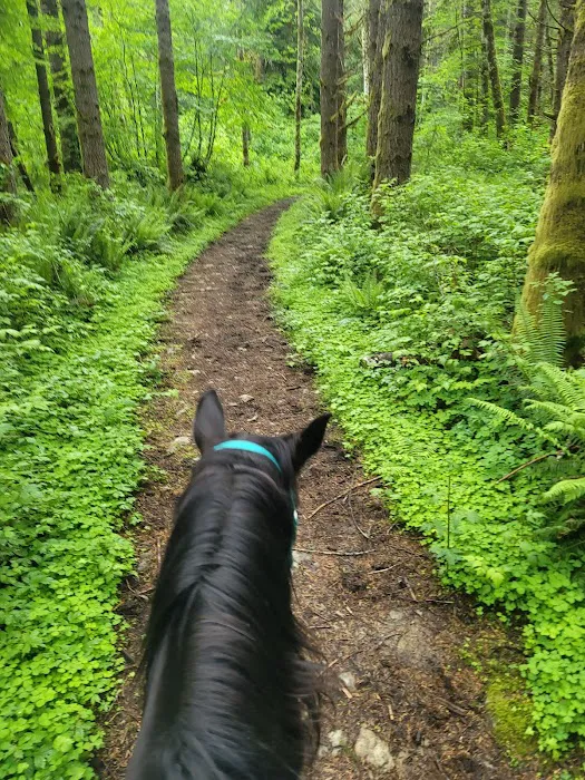 Sahara Creek DNR Horse Camp Picture 9