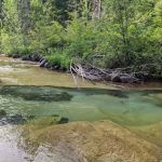 Hamilton Village, by Valley Community Management