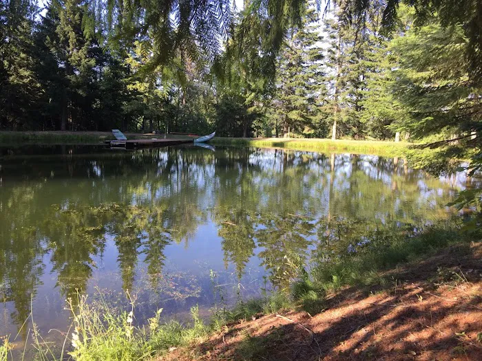 The Ranch Picture 5