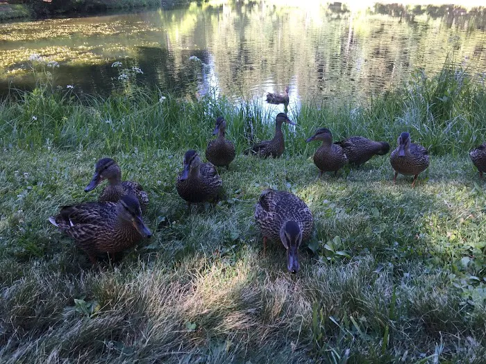 The Ranch Picture 4