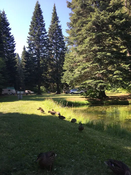 The Ranch Picture 9