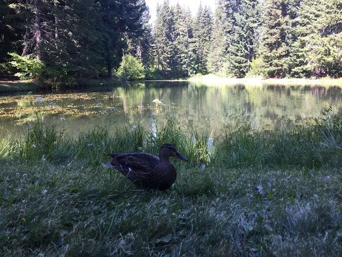 The Ranch Picture 10