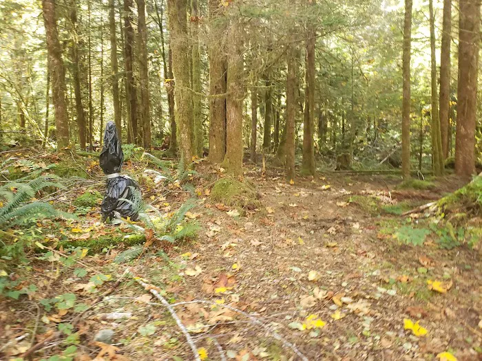 Beckler River Campground Picture 2