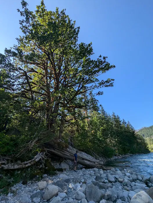 Beckler River Campground Picture 5