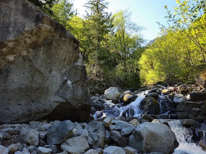 Beckler River Campground Picture 6