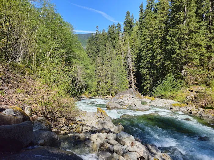 Beckler River Campground Picture 4