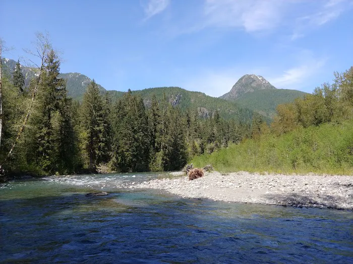 Brandywine Creek Campground Picture 4