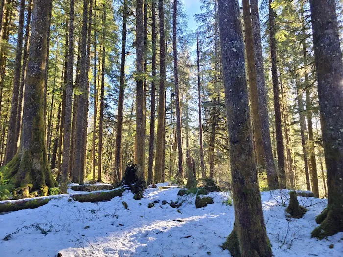 Brandywine Creek Campground Picture 3