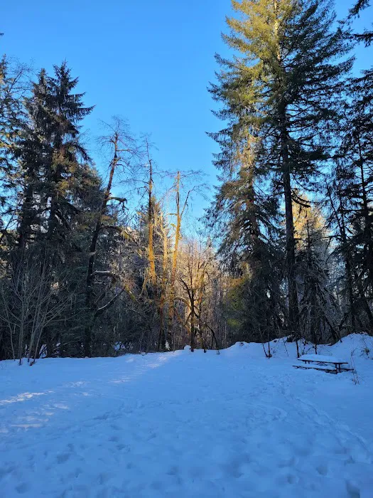 Brandywine Creek Campground Picture 1