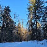 Brandywine Creek Campground