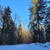 Brandywine Creek Campground ico