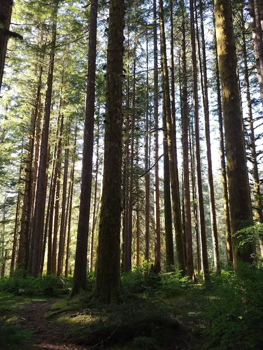 Brandywine Creek Campground Picture 5