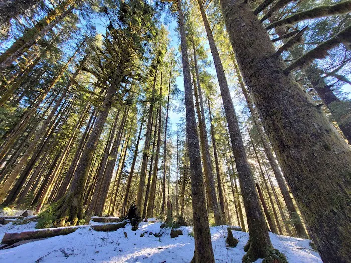 Brandywine Creek Campground Picture 2