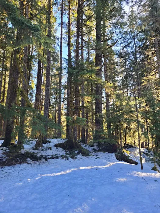 Brandywine Creek Campground Picture 8