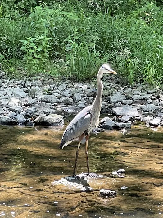 Brandywine Creek Campground Picture 10