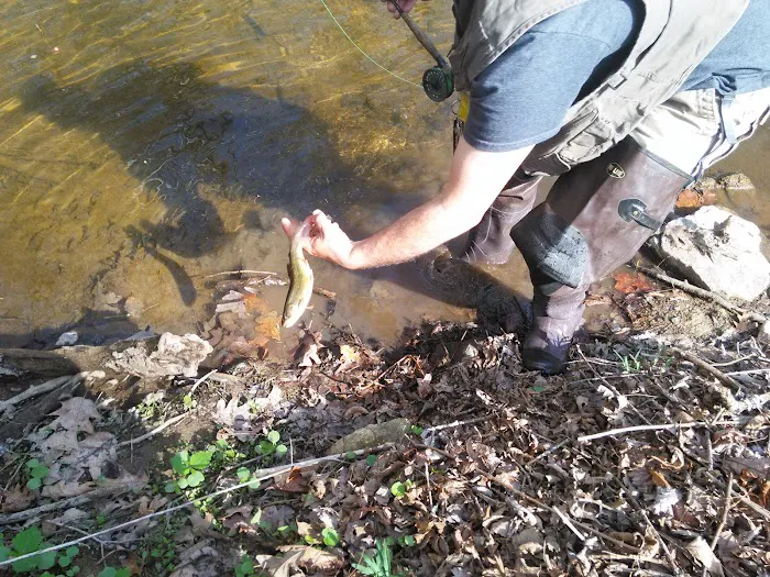 Brandywine Creek Campground Picture 18