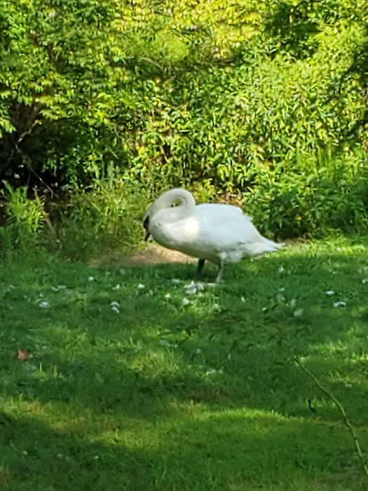 Brandywine Creek Campground Picture 11