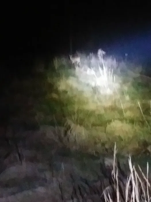 Chocwich Campground Picture 2